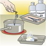 EMPRESA DESINFECCION SERVICIOS GARANTIZADOS